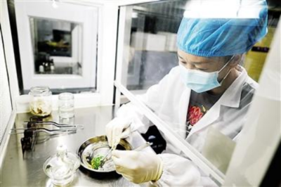 【閩北日報】福建良種生物科技與福建林業(yè)職業(yè)技術學院等科研院校開展合作