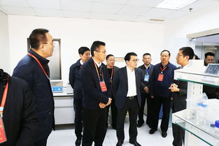 大連市人大常委會視察 大連國家自主創(chuàng)新示范區(qū)