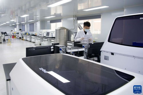 新華全媒 丨重慶 創(chuàng)新示范基地助大學(xué)生實現(xiàn)創(chuàng)業(yè)夢
