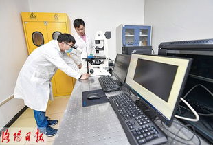 洛陽去年技術創(chuàng)新體系更加完善 科技產(chǎn)業(yè)融合更加緊密