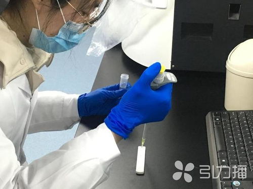 張家港迪亞萊博生物科技自主研發(fā)新冠病毒免疫測試卡 10分鐘內(nèi)鎖定疑似病例