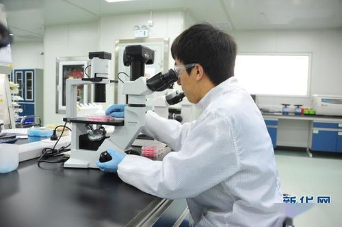 甘肅蘭州 戰(zhàn)略性新興產(chǎn)業(yè)占比不斷提高